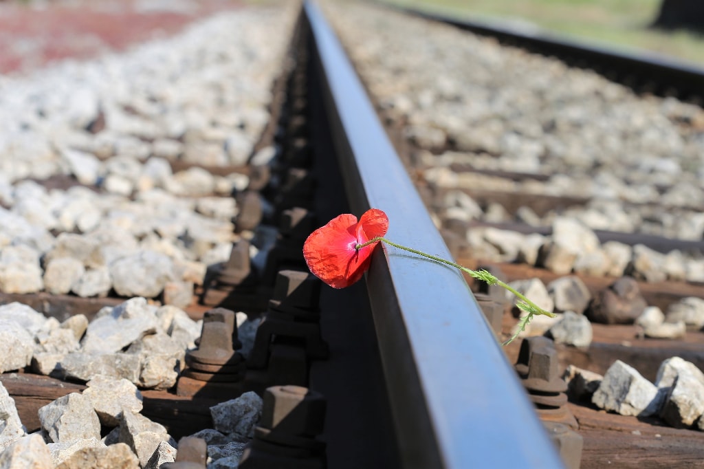 Une fleur posée sur un rail de chemin de fer